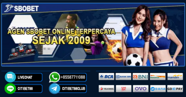 Taruhan Resmi Terpercaya Panduan Lengkap untuk Pemain